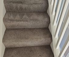 Professional Carpet and Upholstery Cleaning