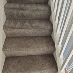 Professional Carpet and Upholstery Cleaning