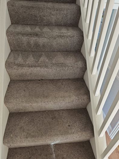 Professional Carpet and Upholstery Cleaning