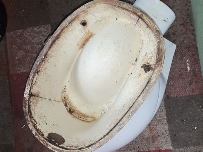 Toilet (has A Crack On It)