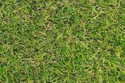 45mm artificial grass free delivery nationwide