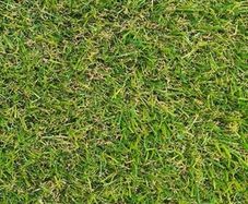 45mm artificial grass free delivery nationwide
