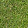 artifical grass FREE DELIVERY nationwide Image 3