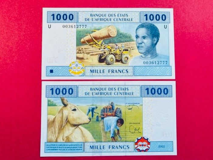 Central African States. 1000 Francs. 2002  Pick 207a  ( U ) Cameroon. ( Uncirculated )