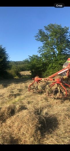 Haybob for xx sale