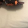 River Island Heels Image 4