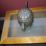 Antique Pewter Teapot Image 3