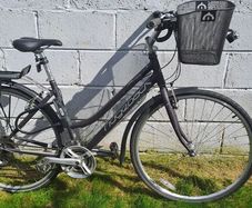 Ridgeback Rapid Motion Hybrid 19inch Frame