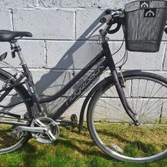 Ridgeback Rapid Motion Hybrid 19inch Frame