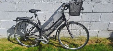 Ridgeback Rapid Motion Hybrid 19inch Frame