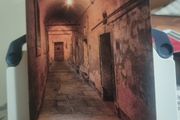 Captive Columns (Paperback)  Eoghan Mac Cormaic