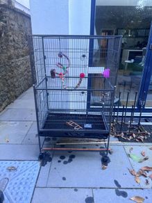 Bird Cage
