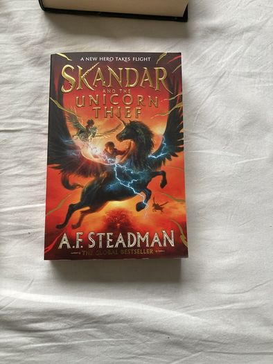Skandar books