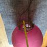 Victorian Manskenslampa Moonlight Etched Cranberry Hanging Ceiling Light Shade Image 5