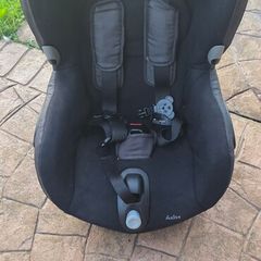 toddler cat seat