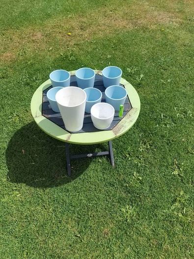 collection of flowerpots