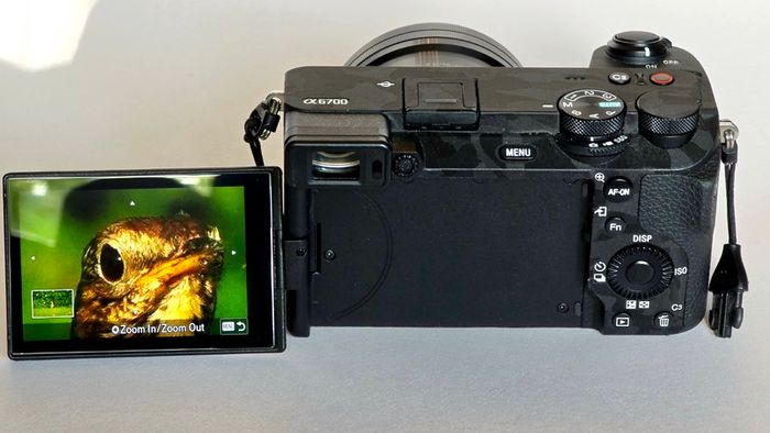 Sony A6700 With 16-50 PZ OSS lens