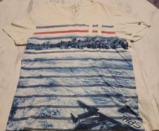 mens tommy hilfiger tshirt