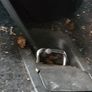 Ford S-Max 06-15 Boot Cage Travall Image 8
