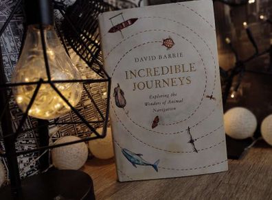 Incredible Journeys ! Exploring the Wonders of Animal Navigation ! Hardcover ! 2019 ! by Hodder & Stoughton !