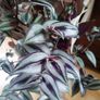 Plant Image 4