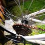 Child's bike Image 2