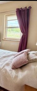 Plum curtains