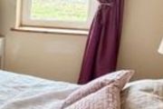 Plum curtains