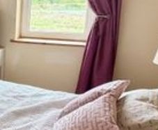 Plum curtains