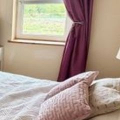 Plum curtains
