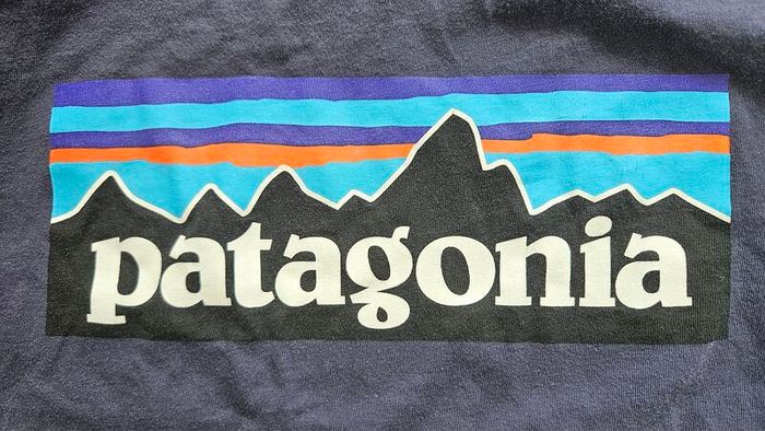 Boys Patagonia t-shirt