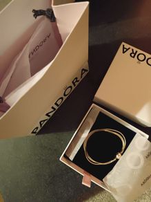 Pandora Bracelet