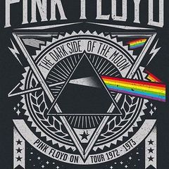 Pink Floyd - Dark Side of the Moon Tour 1972 -73 - Rare Mini Print/Poster