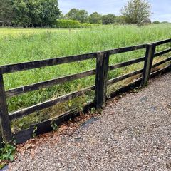 Free fencing (90 metres)