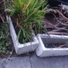 pots and plants