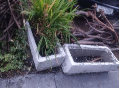pots and plants