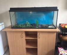 fish tank