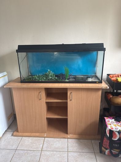 fish tank