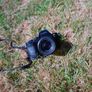 helios 44m Image 3
