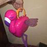 2021 Polly Pocket Flamingo Party Set Image 6