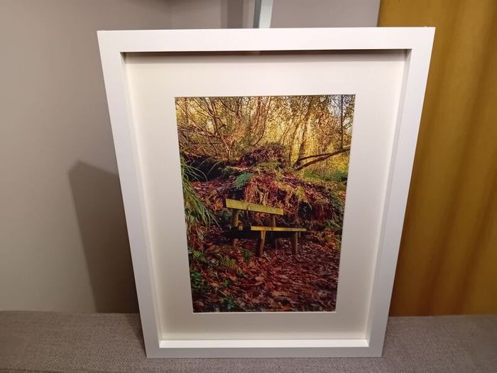 Glenbower Woods