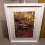 Glenbower Woods Image 3