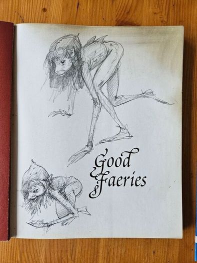 Good Faeries Bad Faeries. By Brian Fraud. First Edition Large Volume Paperback In Good Condition.  See Photos For Same.