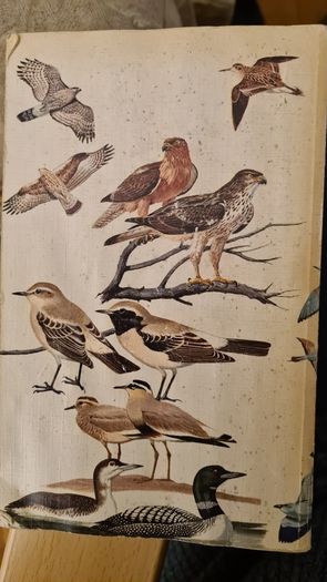 Birds Of Britain And Europe. The Hamlyn Guide. By Bertel Bruun. Illustrated By Arthur Singer. 516 Birds In Colour & 448 Maps. Paperback In FAIR CONDITION. 32..