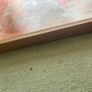 XL Framed Original Art Original Abstract Painting Image 3