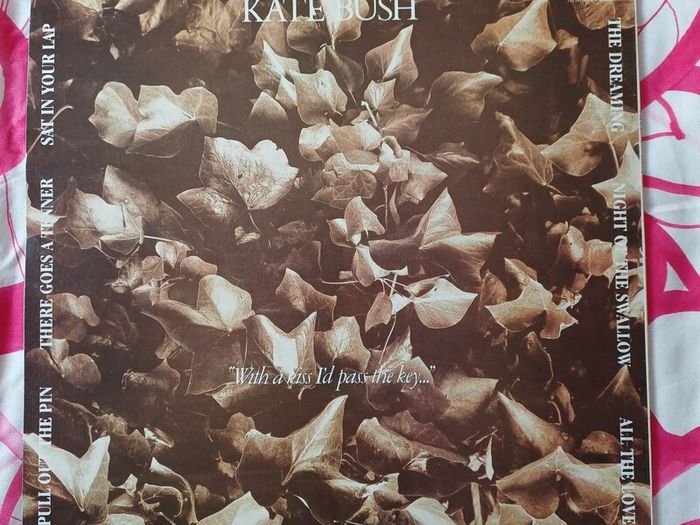 Kate Bush The Dreaming Vinyl