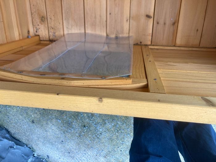 dogs shed