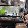 reptile tanks for sale Image 4