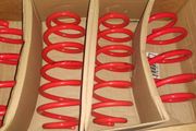 VW GOLF MK5 4motion Cobra Lowering Springs 30mm