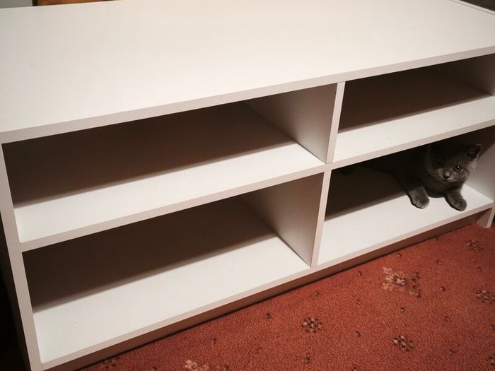 Cabinet shelf